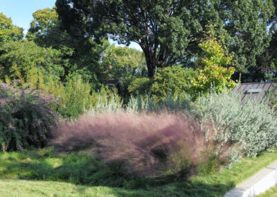 plantings