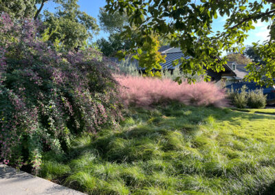 front yard
