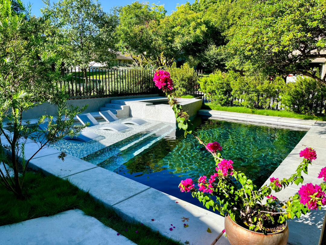 pool in front yard
