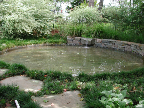 Ponds - David Rolston Landscape Architects - Residential & Commercial ...